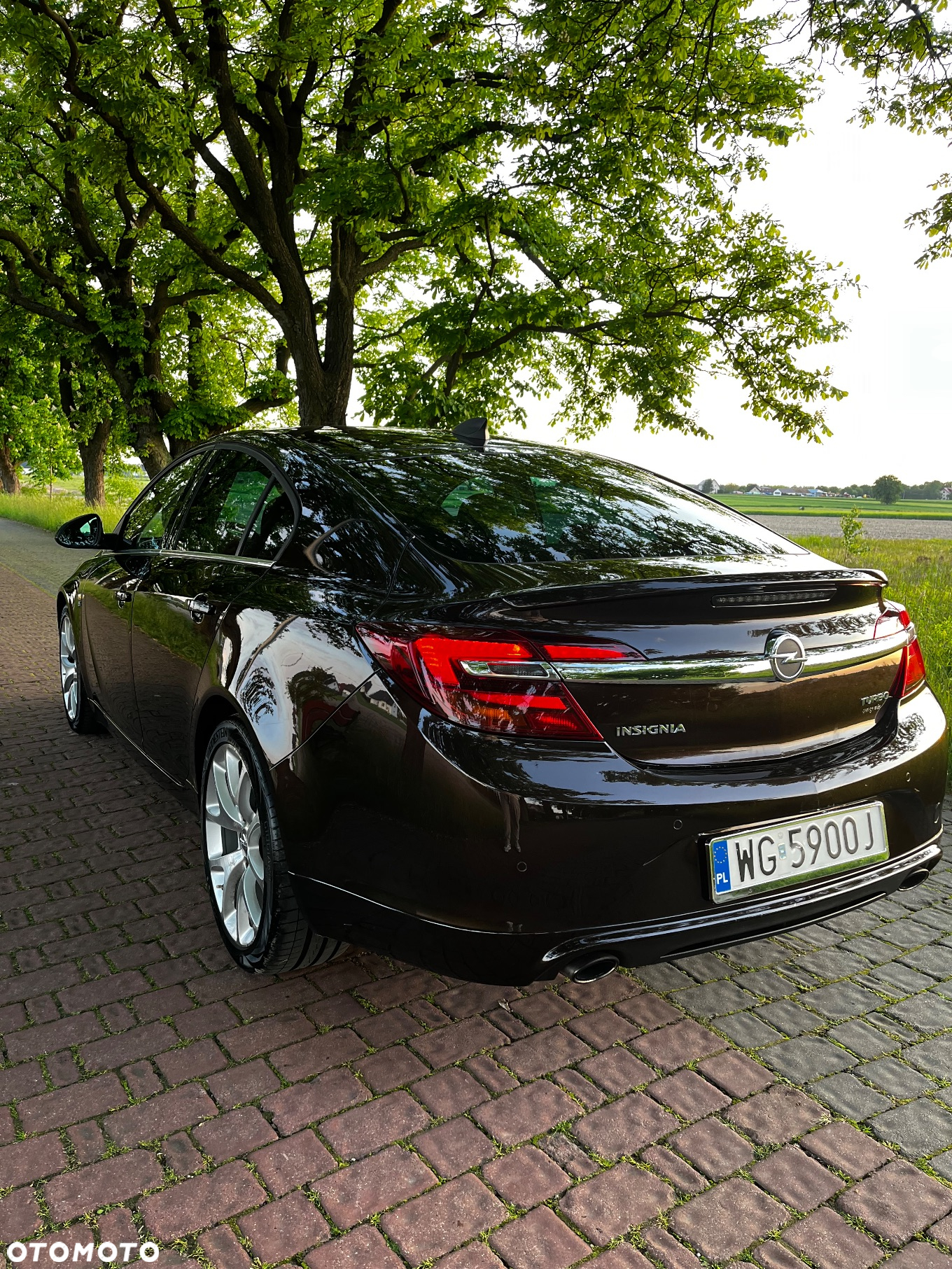 Opel Insignia 1.6 SIDI Turbo Sports Tourer - 16