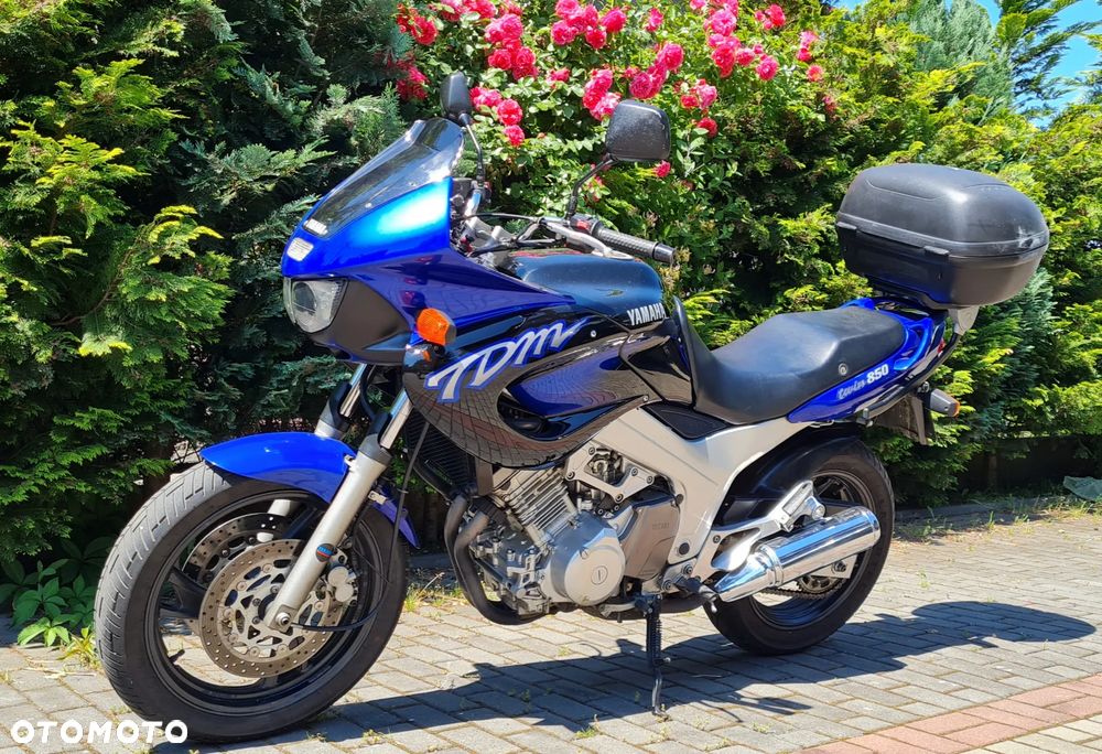 Yamaha TDM - 13