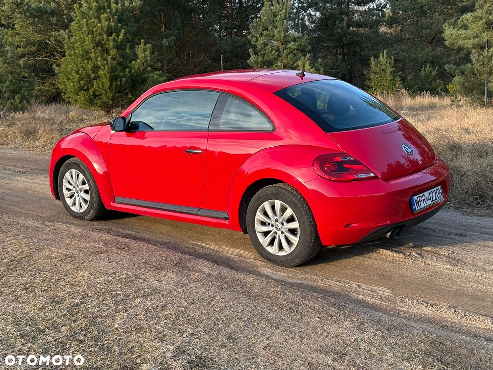 Volkswagen Beetle - 6