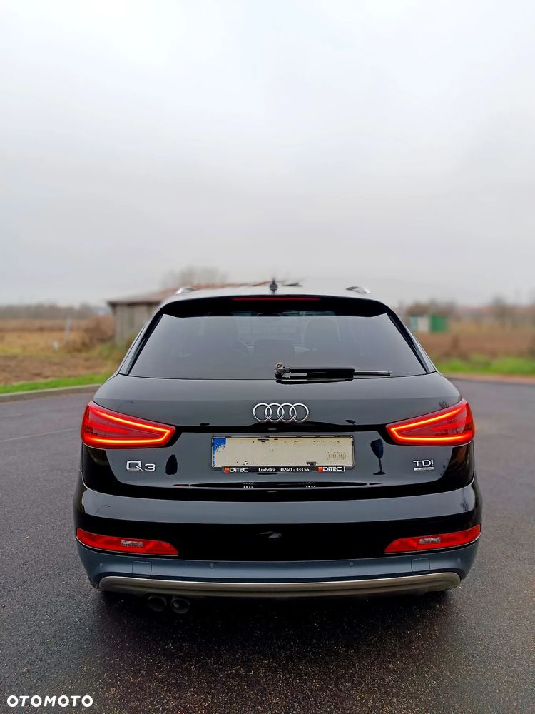 Audi Q3 2.0 TDI Quattro Edycja Specjalna - 7
