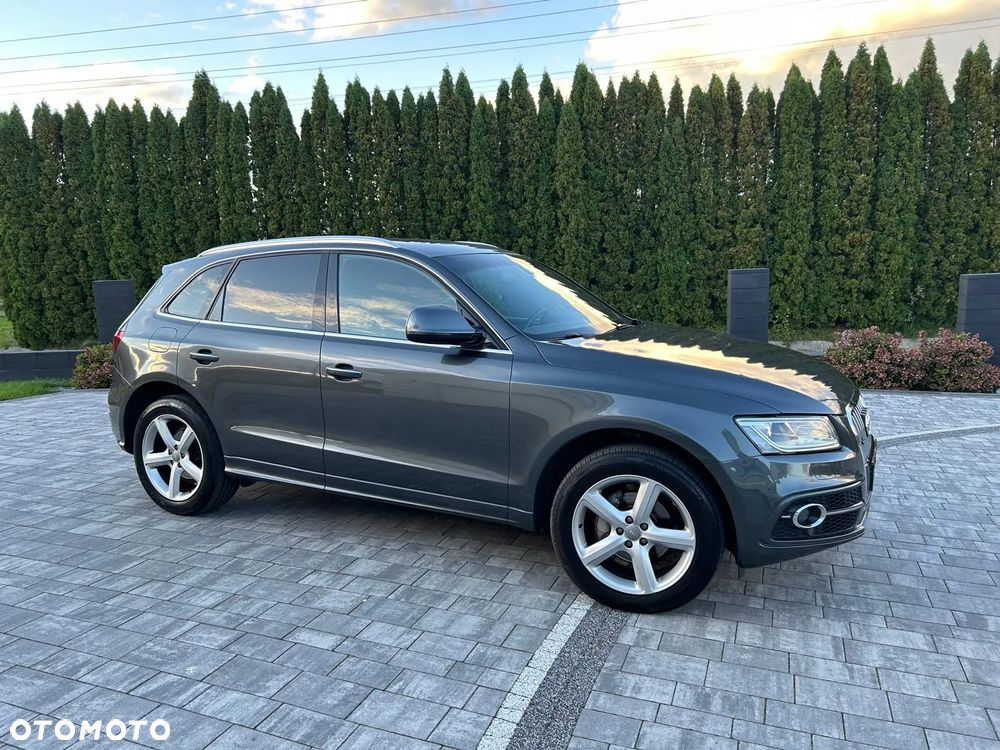 Audi Q5 - 24
