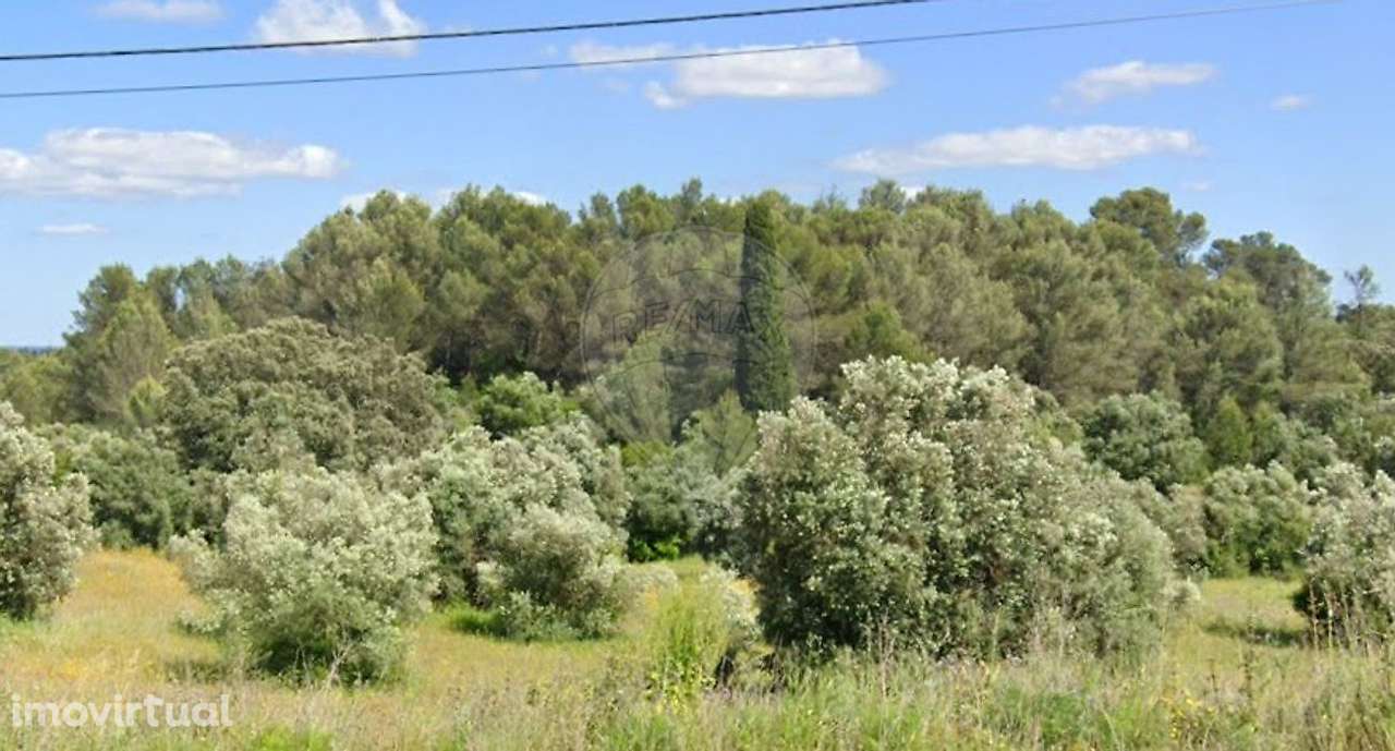 Terreno  para venda - Grande imagem: 3/3