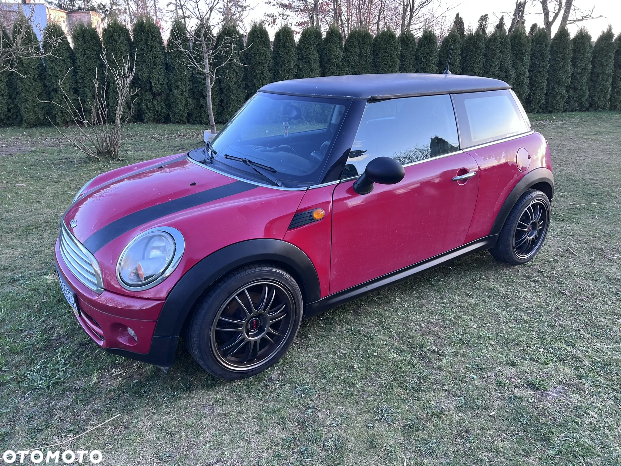 MINI Cooper D - 12