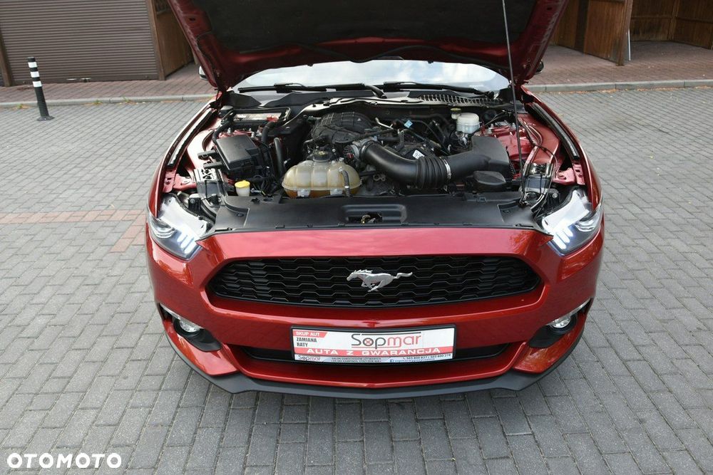 Ford Mustang - 27