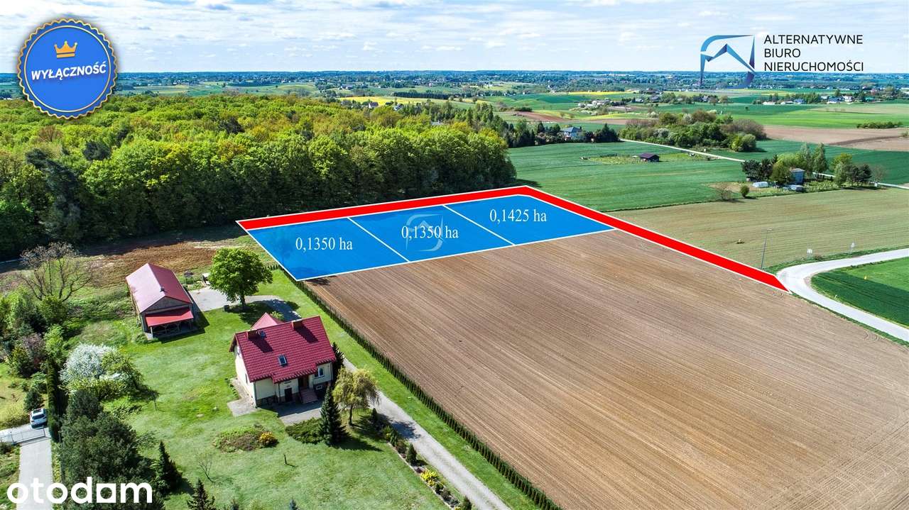 Działki budowlane pod lasem w Smugach - Pełny obrazek: 5/7