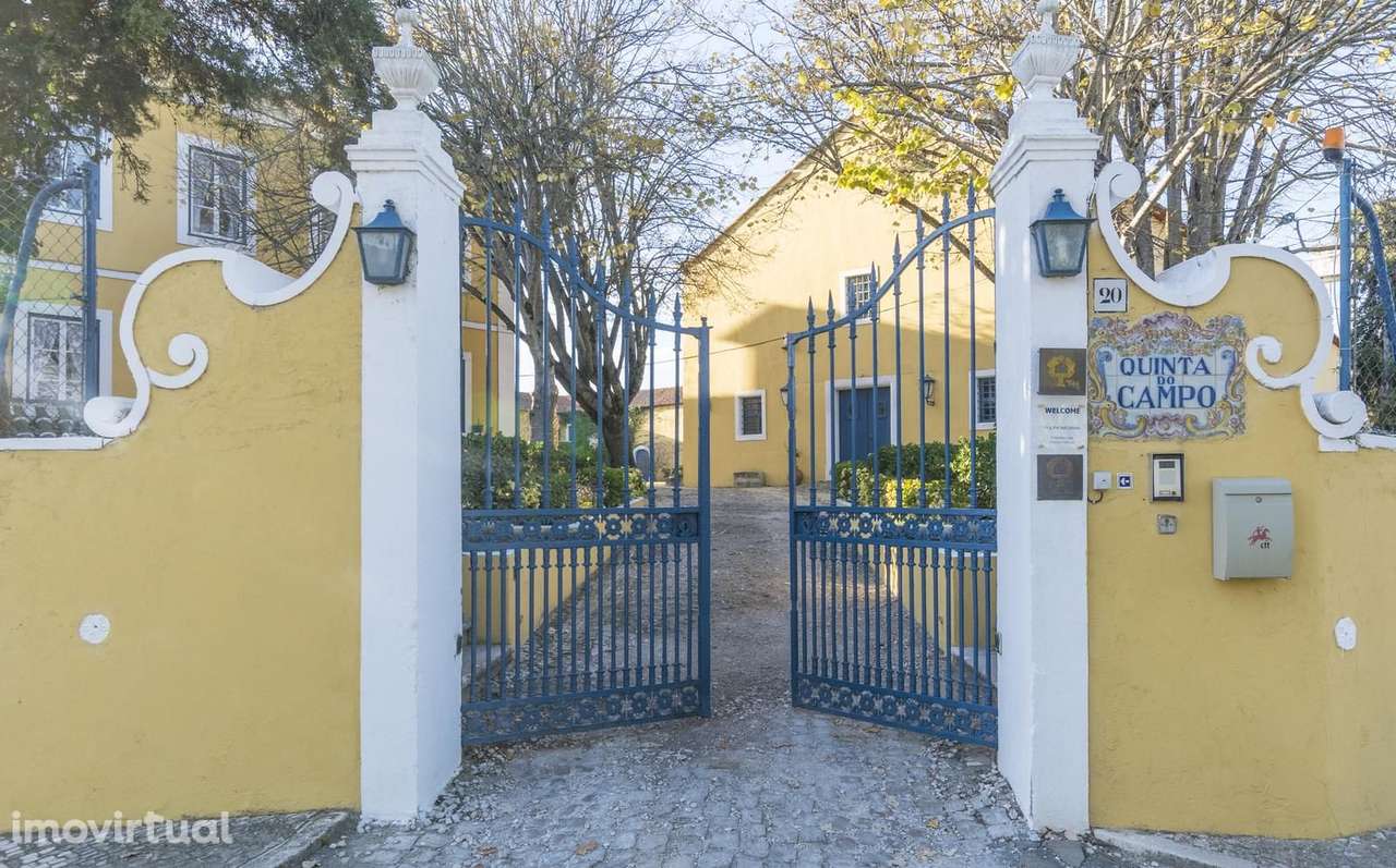 Herdade 6.4 ha, Nazaré - Grande imagem: 3/60