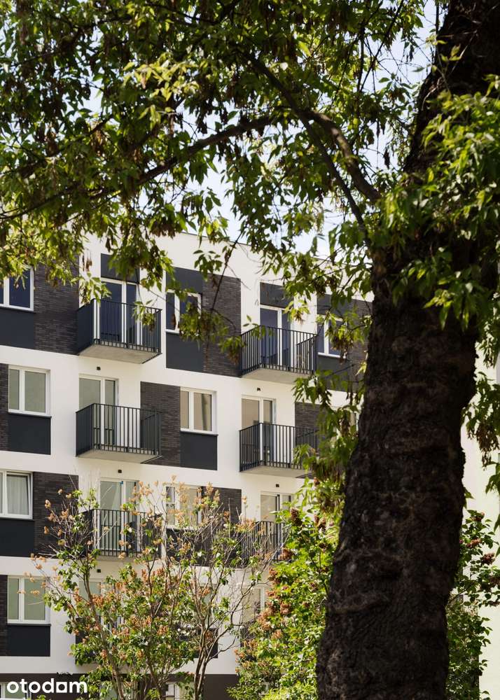 3-pokojowe | 56.04 m2 | Balkon | Internet w cenie | Bezpośrednio
