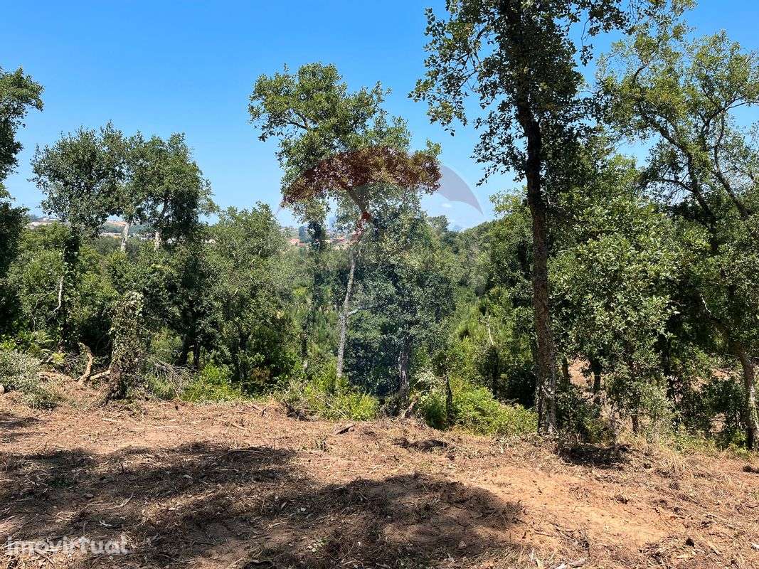 Terreno  para venda - Grande imagem: 5/11