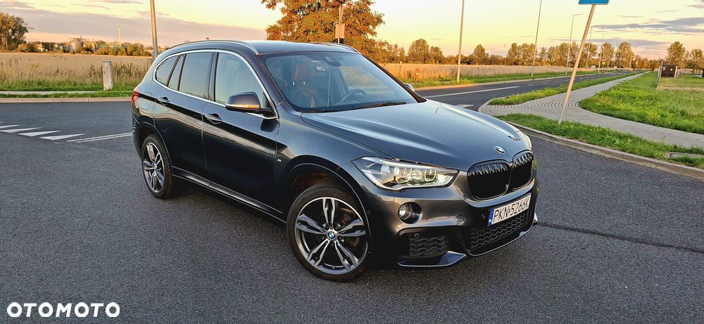 BMW X1 2019 photo 2