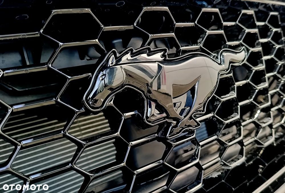 Ford Mustang - 27