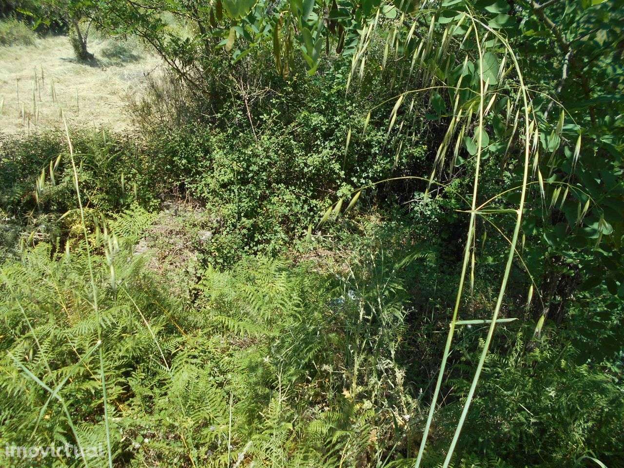 Terreno - Grande imagem: 3/4