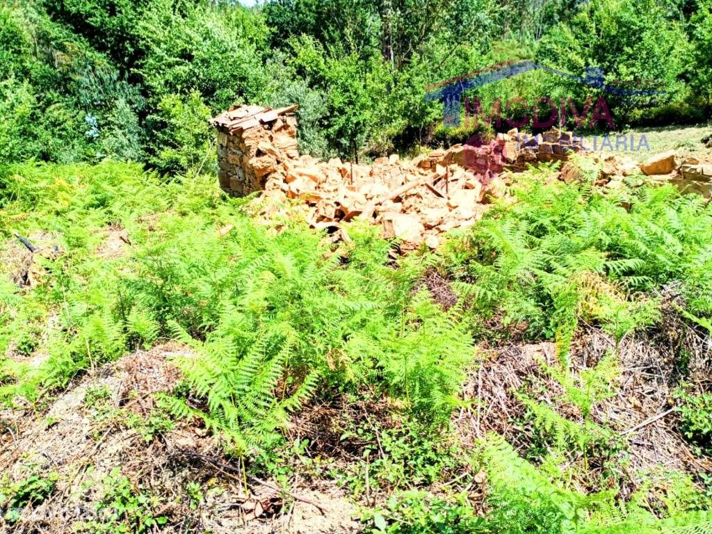 Terreno urbano com antiga ruina com poço de água e excelente área n... - Grande imagem: 3/8