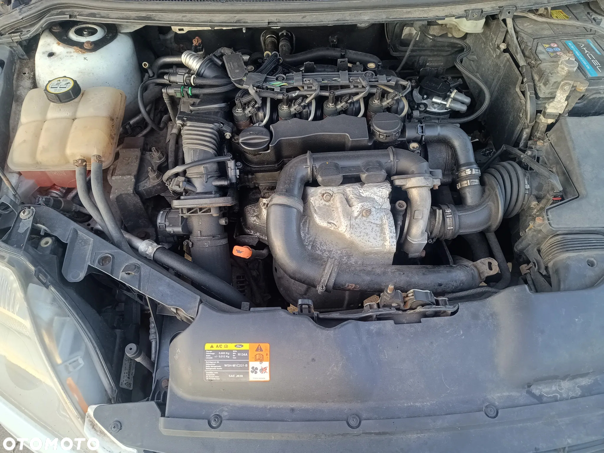 Ford Focus - 8