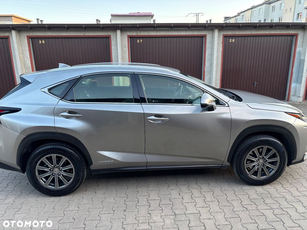 Lexus NX - 15