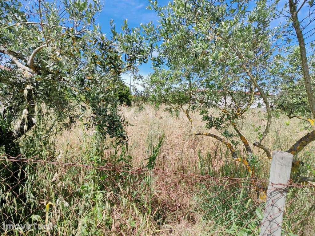 Terreno rústico em excelente localização - Grande imagem: 4/10