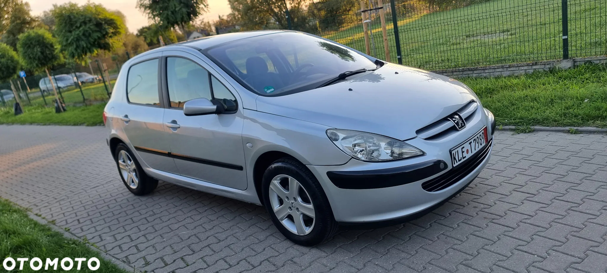Peugeot 307 - 6