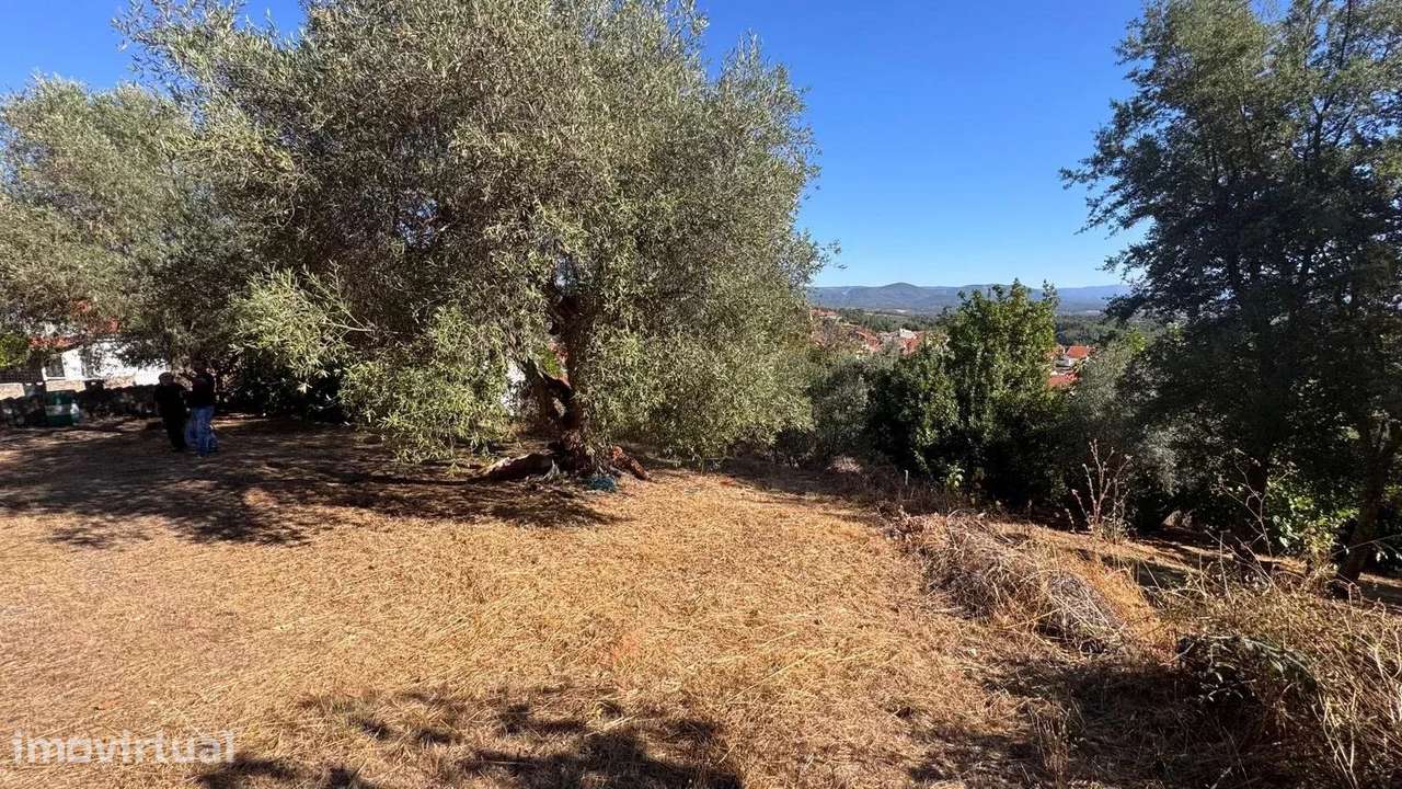 Terreno com vista deslumbrante – 5.600 m² em Aranhas - Grande imagem: 3/29