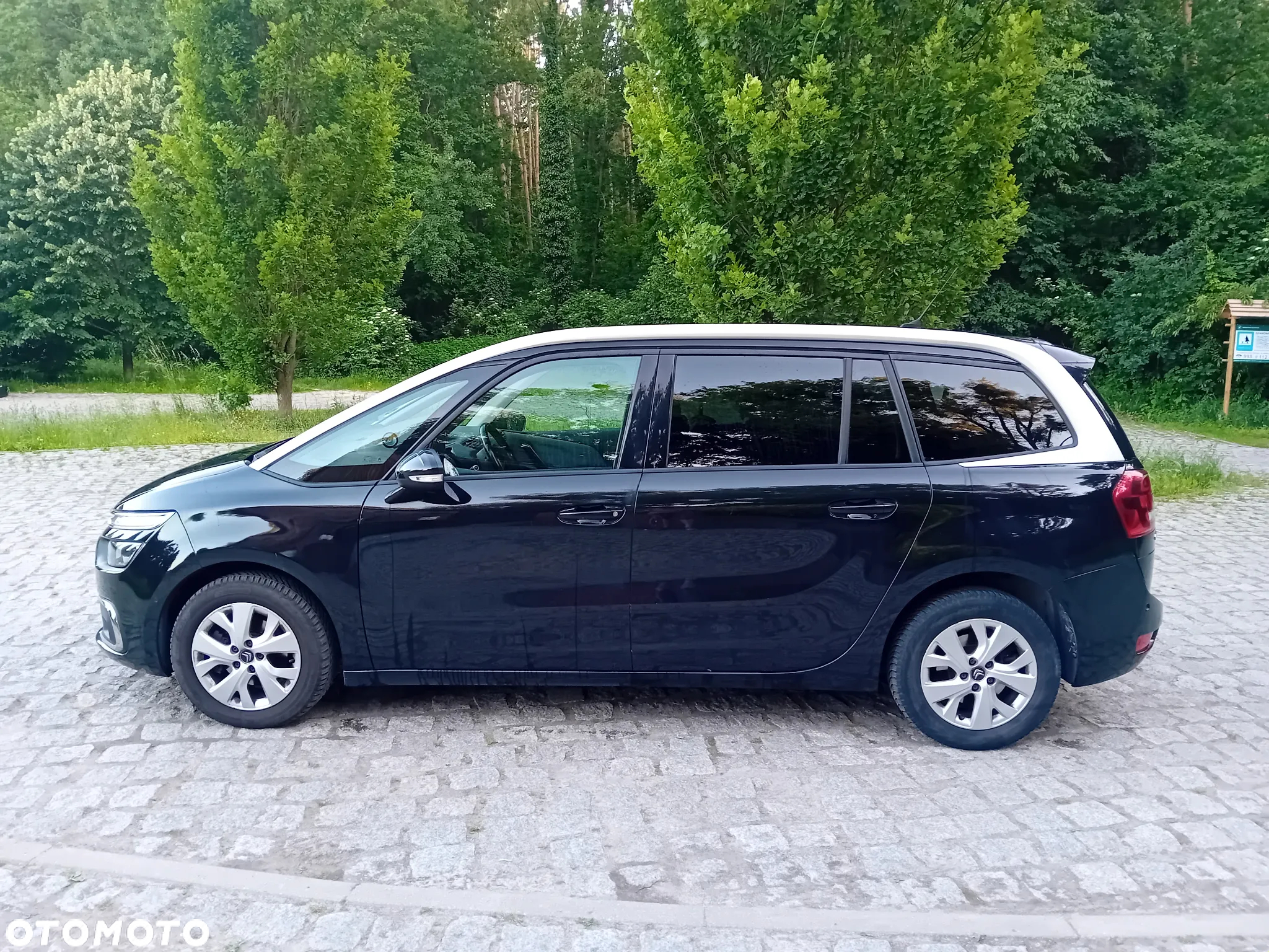 Citroën C4 Grand Picasso 1.6 BlueHDi MoreLife S&S - 8