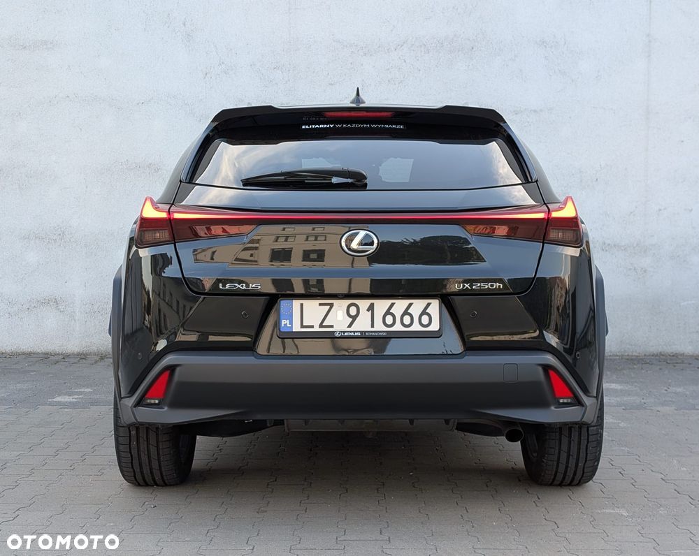 Lexus UX 250h GPF Business 2WD - 36