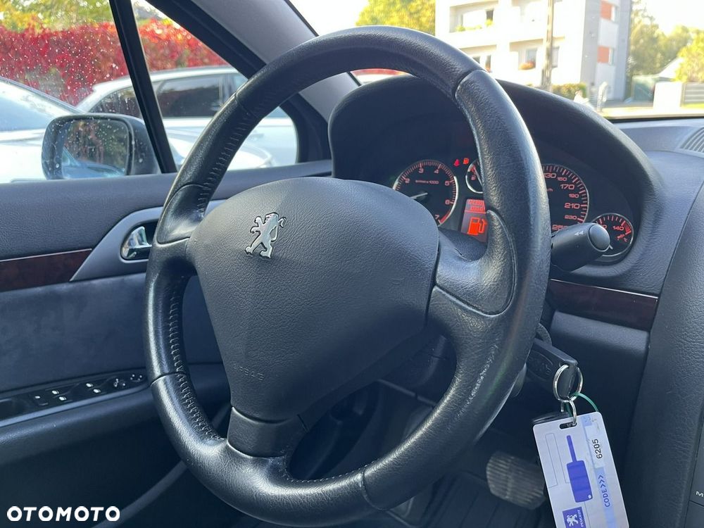 Peugeot 407 - 22