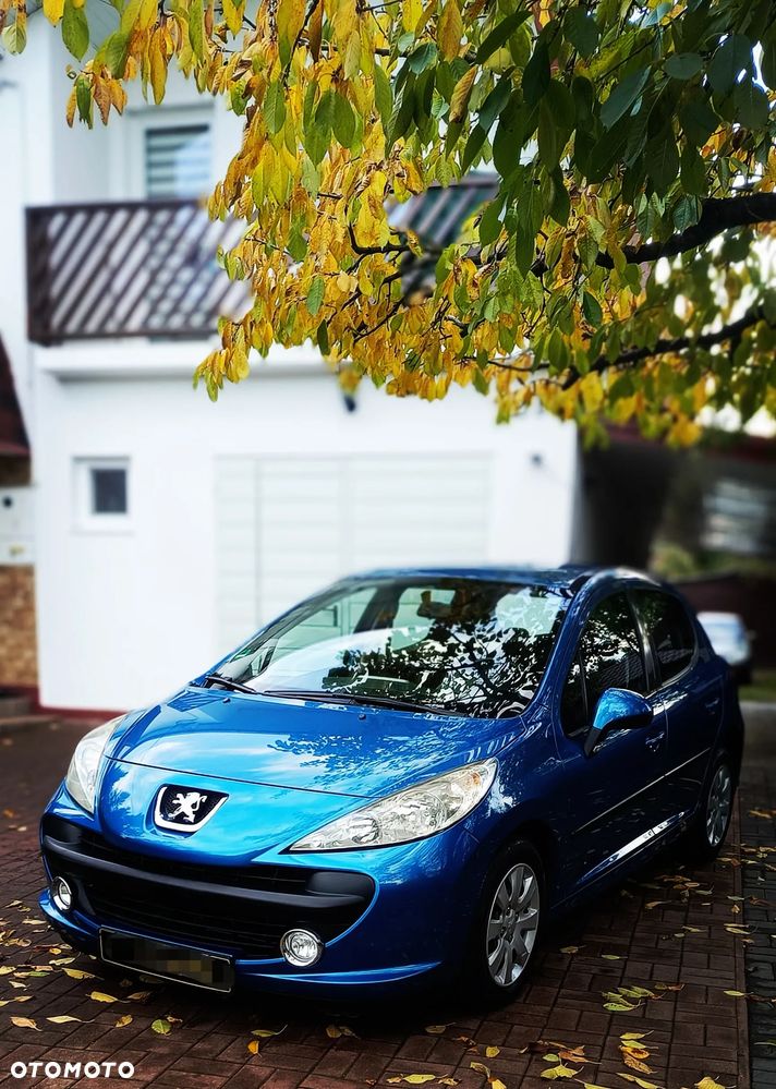 Peugeot 207 - 10