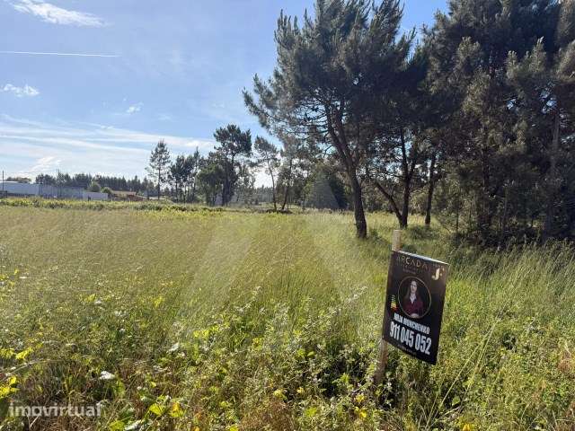 Terreno com 70 metros de frente localizado em Ouca, Vagos - Grande imagem: 4/15