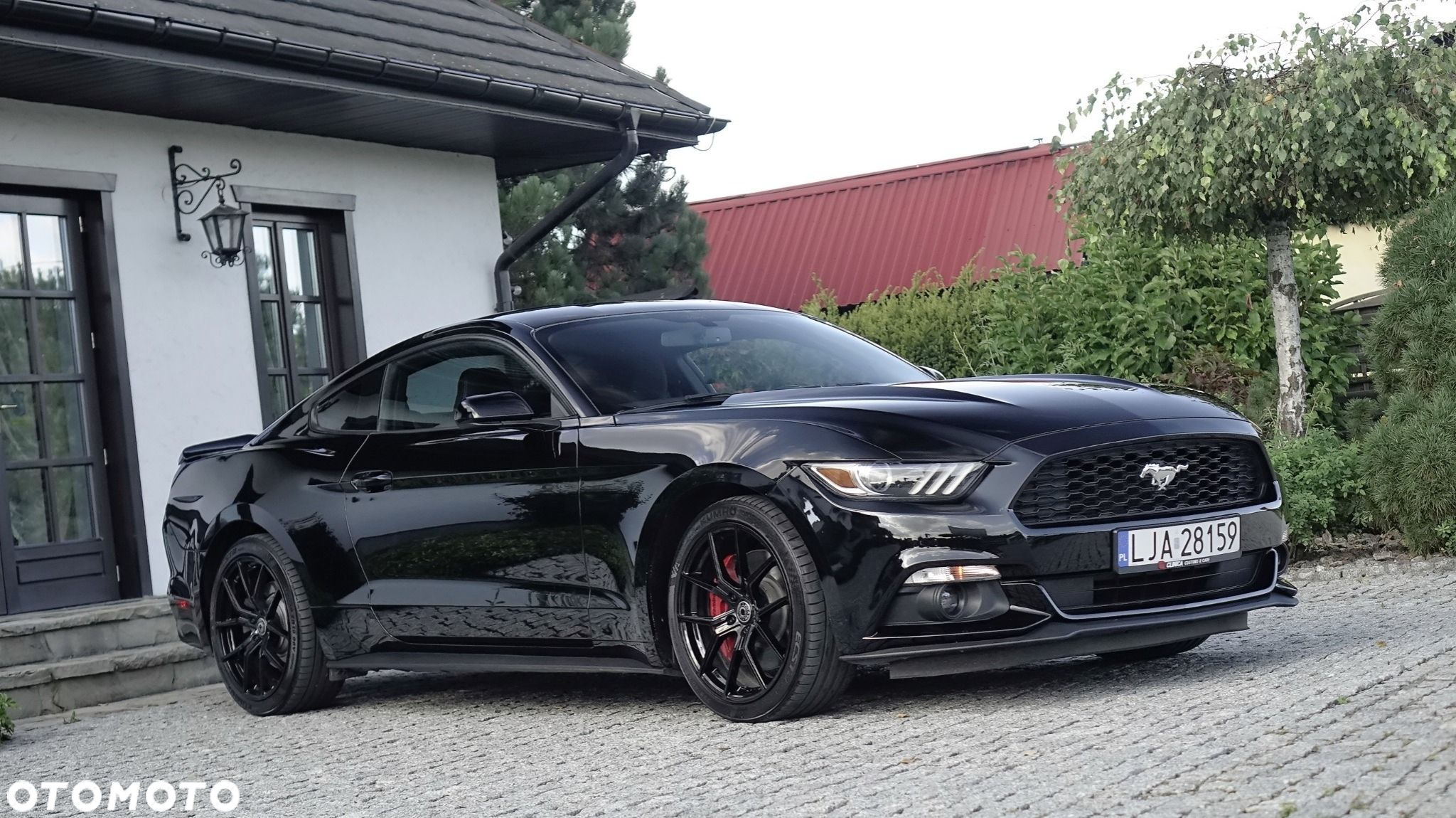 Ford Mustang - 20