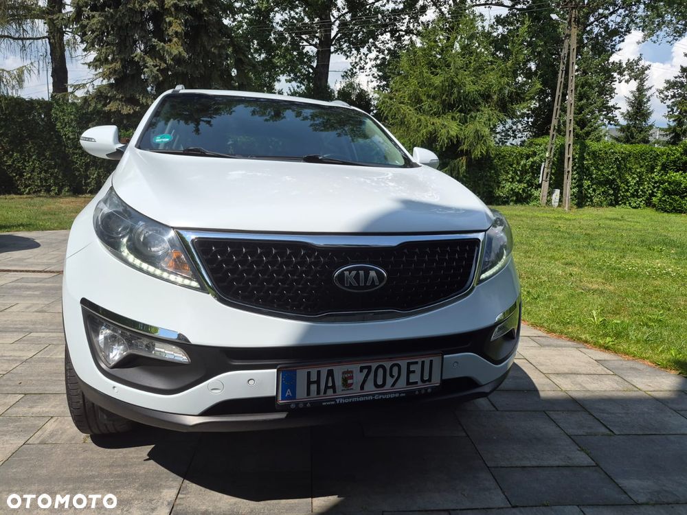 Kia Sportage 1.6 GDI Business Line L 2WD - 19