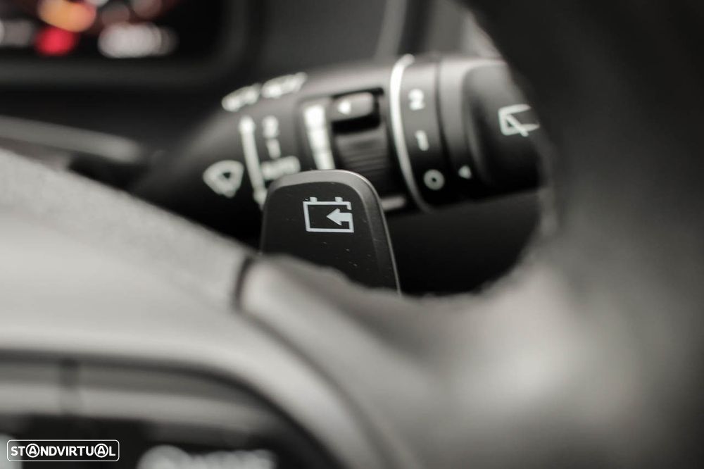 Hyundai Kauai Business - 21