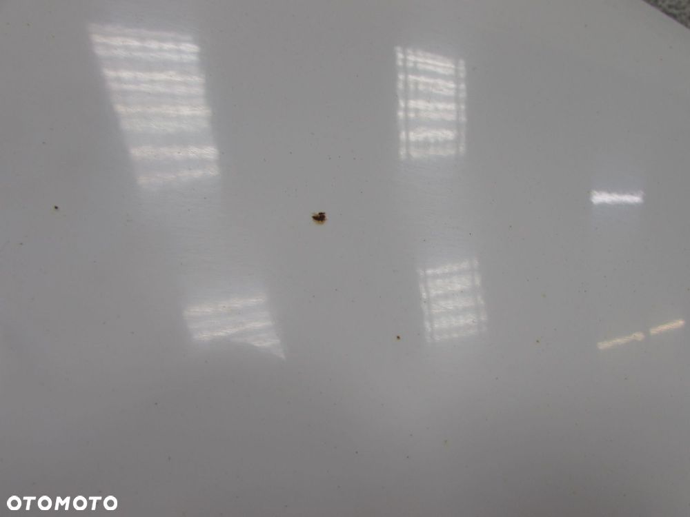 CITROEN C3 II 08-16 BLOTNIK PRAWY PRZOD EWPA BIALY - 5
