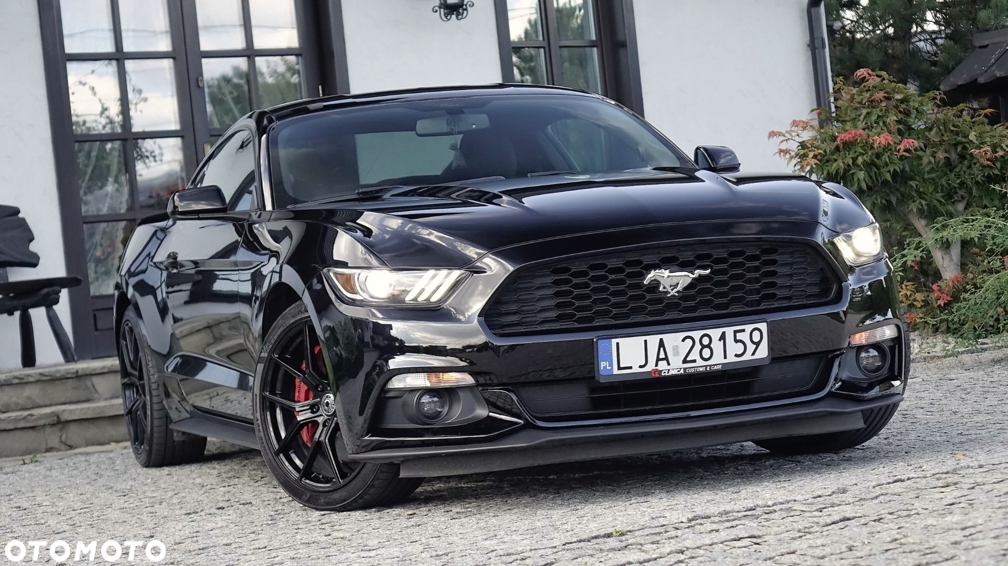 Ford Mustang - 3