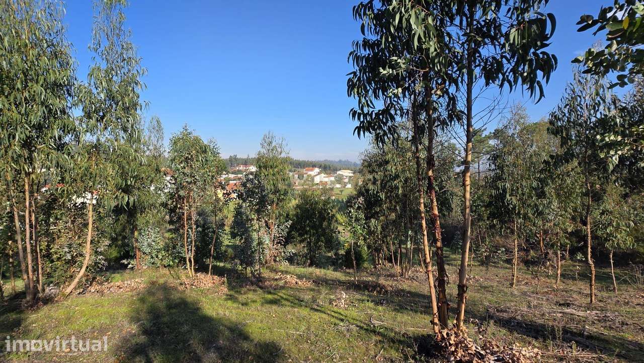 Terreno em Soure, Coimbra - Oportunidade Única de Construção - Grande imagem: 2/16
