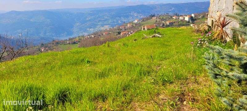 Terreno Douro p/construção-COM projeto aprovado! - Grande imagem: 5/6