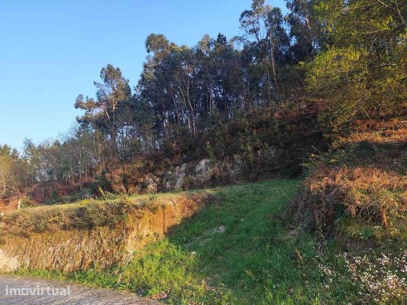 TERRENO PARA CONSTRUÇÃO -OLIVEIRA -VILA MEÃ-AMARANTE - Grande imagem: 2/7