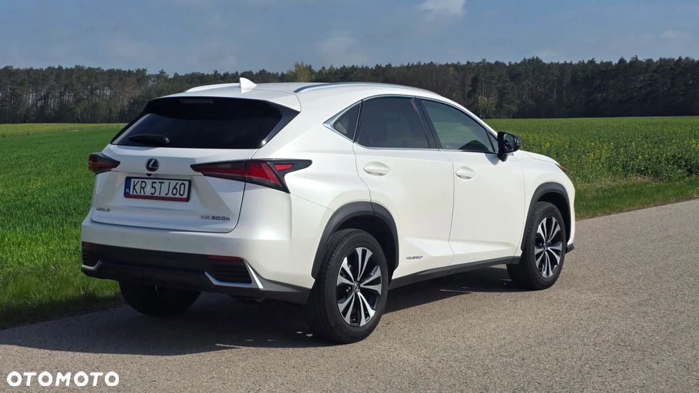 Lexus NX 300h F Impression AWD - 4