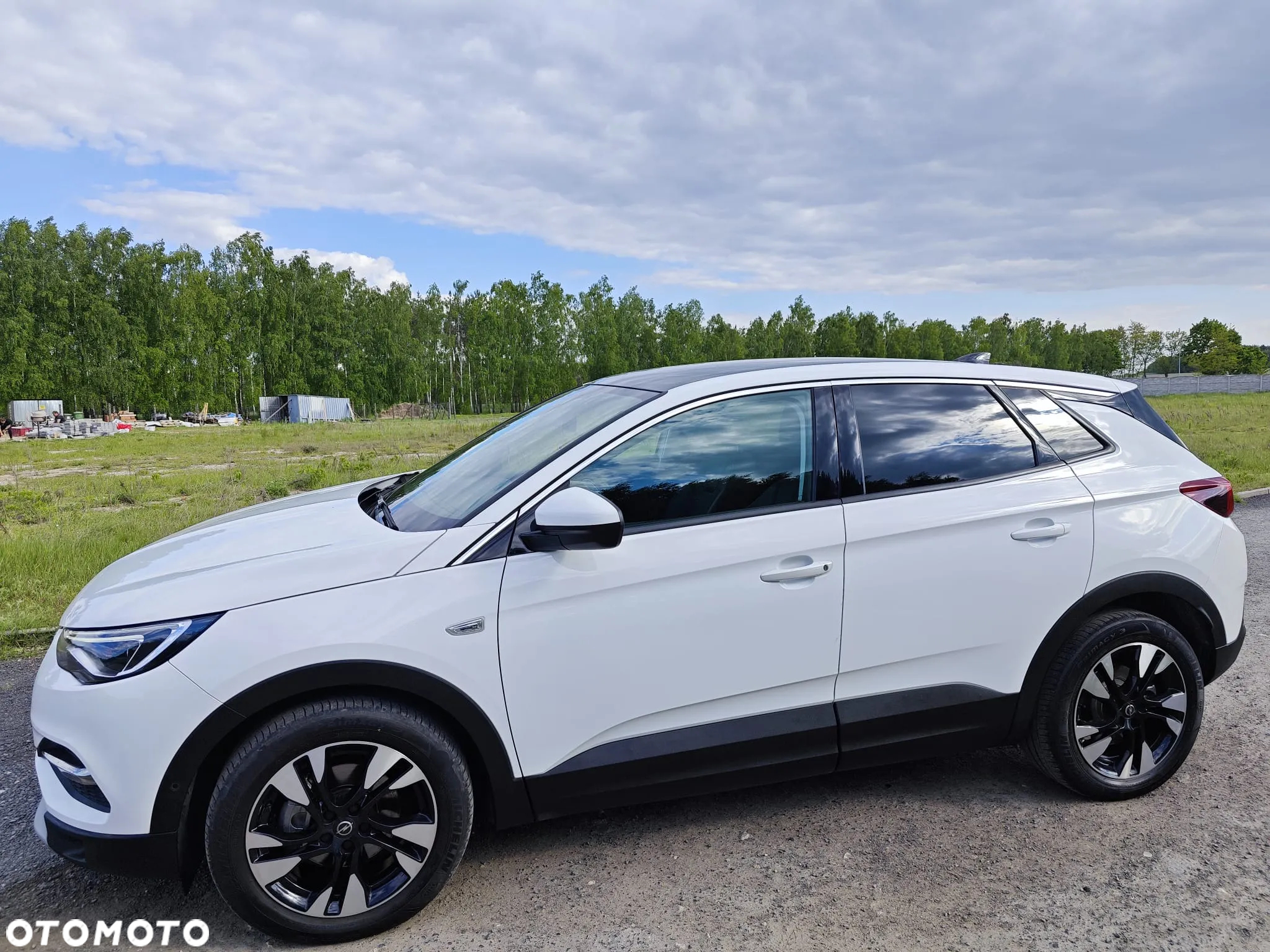 Opel Grandland X 2.0 D Start/Stop Automatik Business INNOVATION - 5