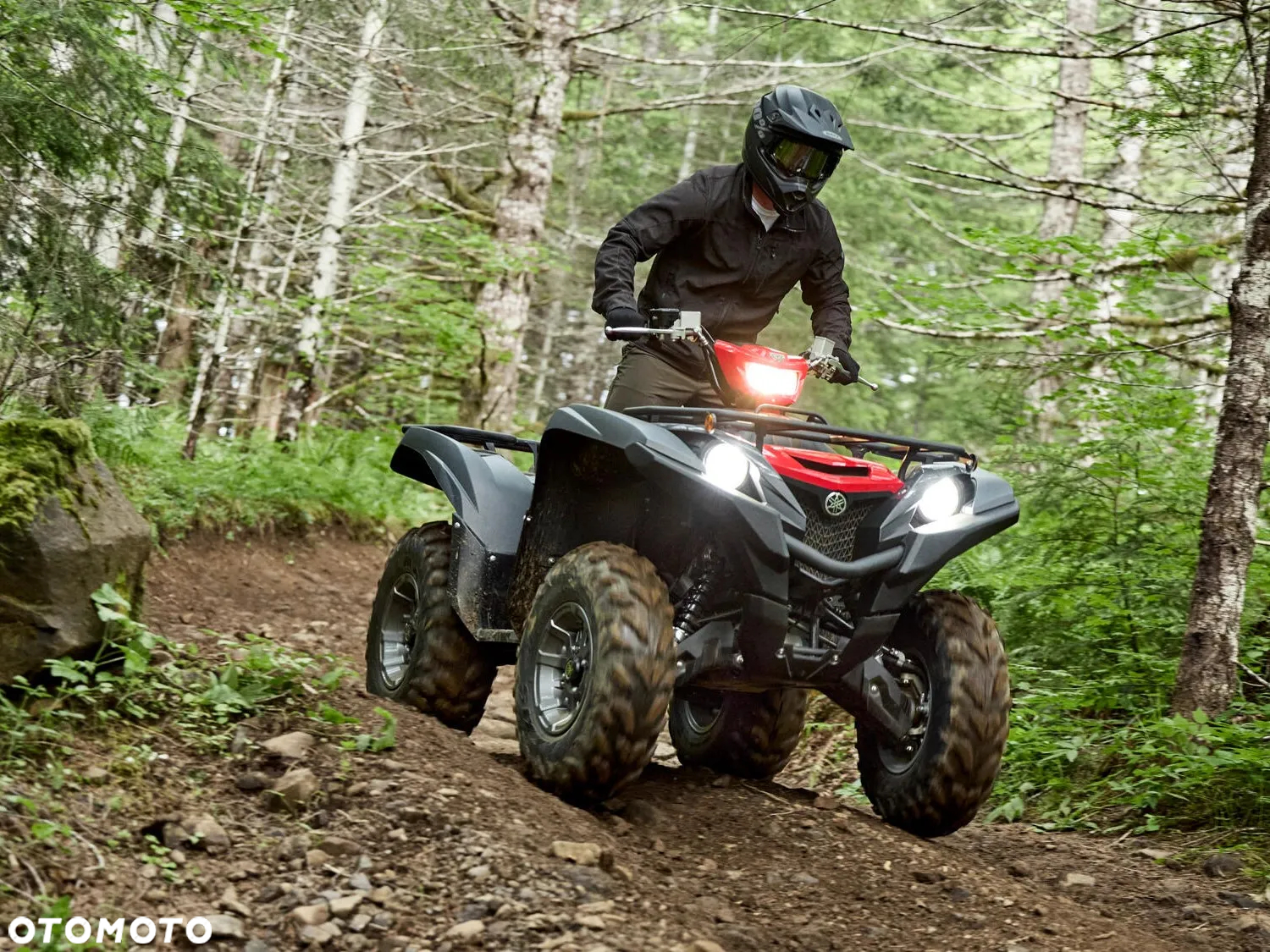 Yamaha Grizzly - 6