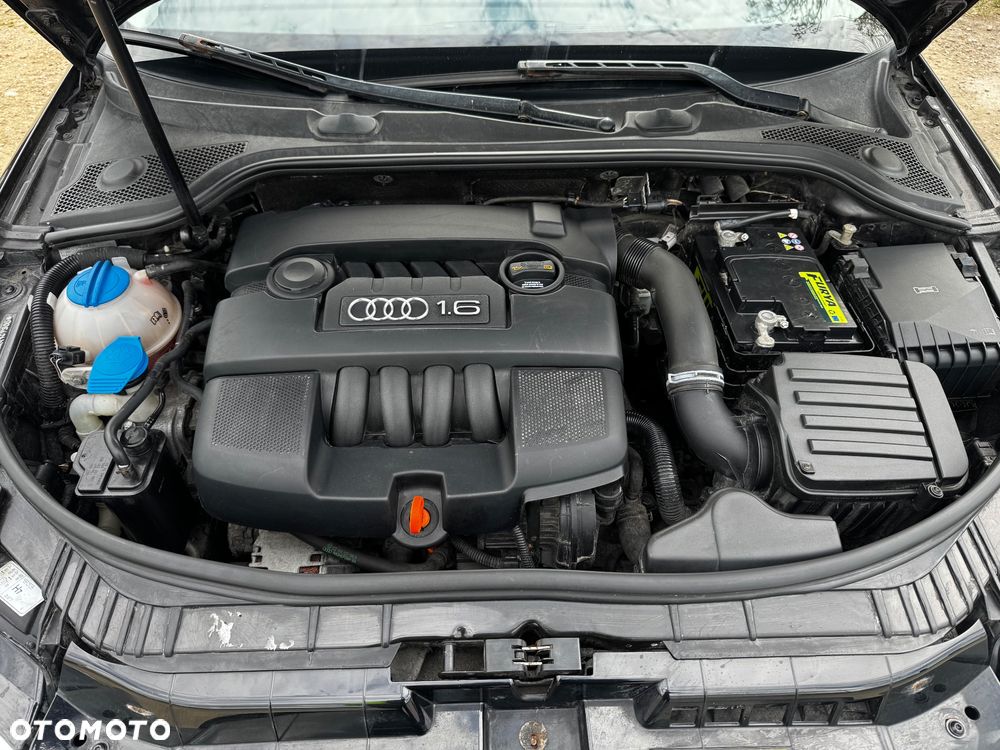 Audi A3 Sportback 1.6 Ambiente - 17