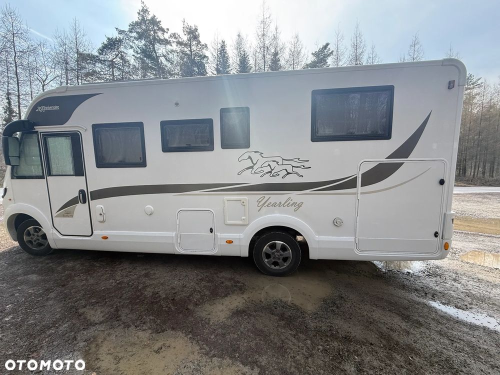 McLOUIS Yearling i61g - 8