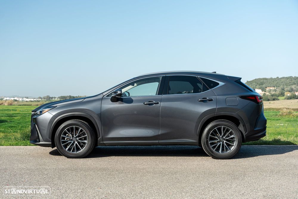 Lexus NX 350h Executive+ - 3