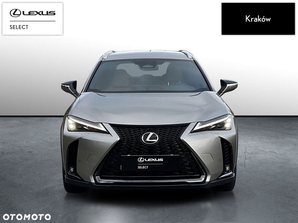Lexus UX 300h F Sport Design AWD - 8