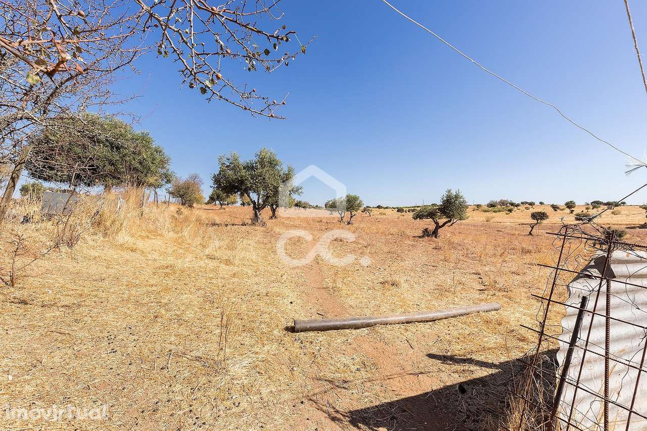 Terreno Rústico de 7,35 ha c para Exploração Agrícola | Mourão, Évora - Grande imagem: 3/45