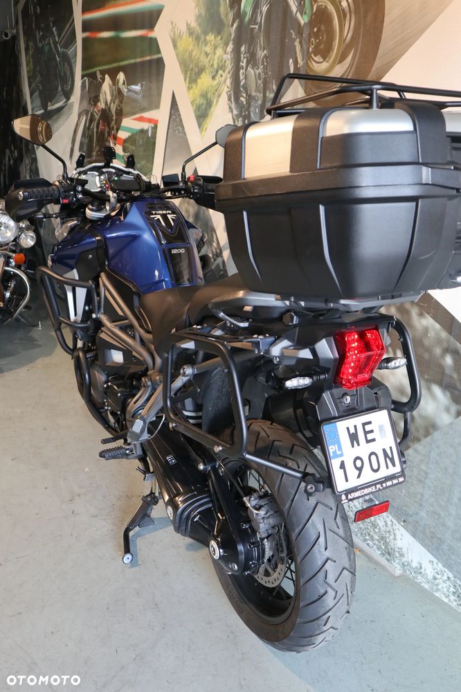Triumph Tiger - 11