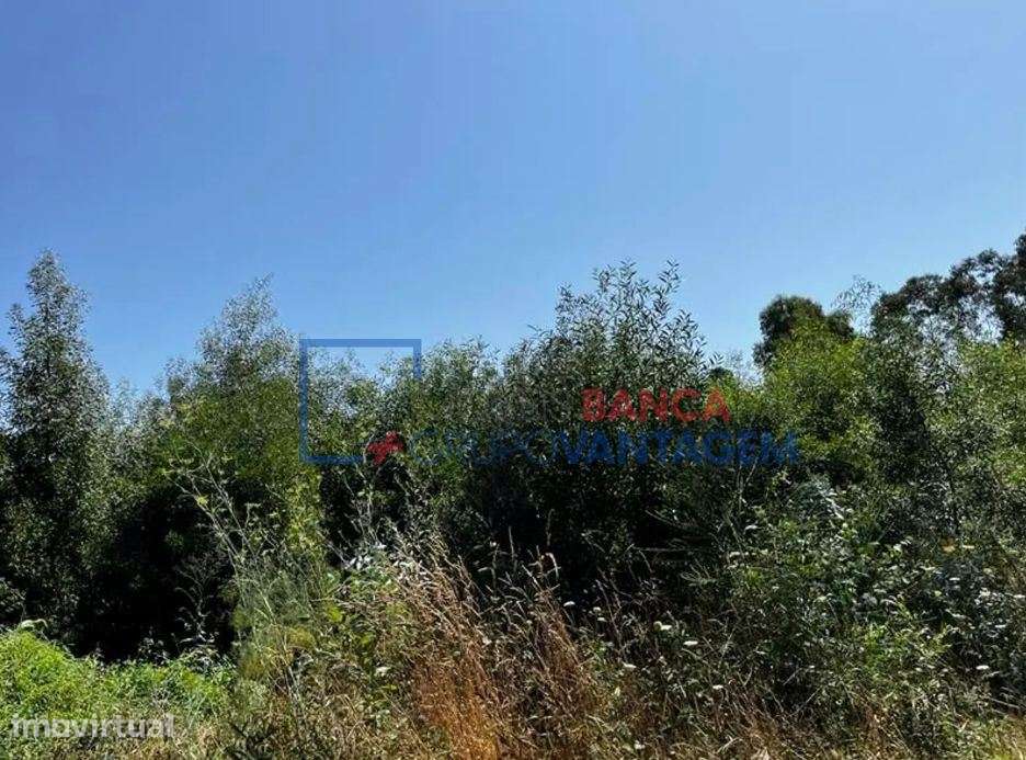 TERRENO URBANO - CAMINHA - Grande imagem: 4/8