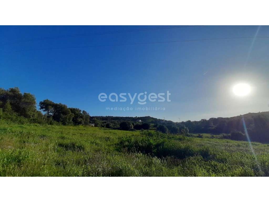 Terreno Rústico de Cultura Arvense em Morelena com 87 880m2 - Grande imagem: 2/17