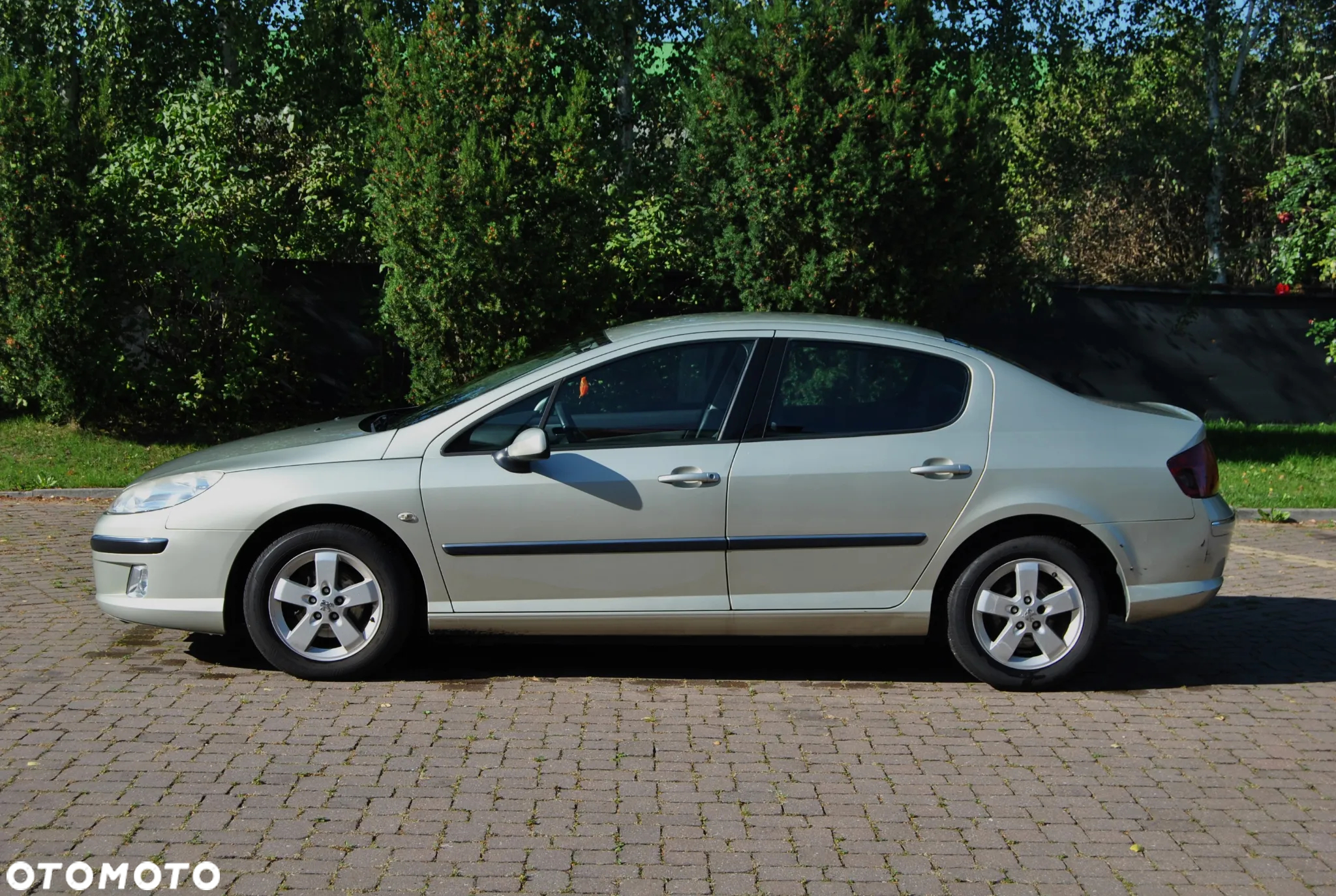 Peugeot 407 1.8 Presence - 17