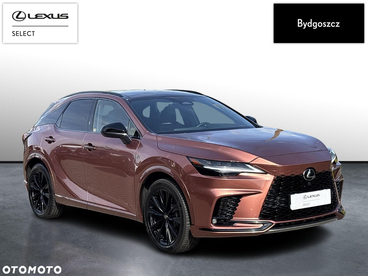 Lexus RX - 3