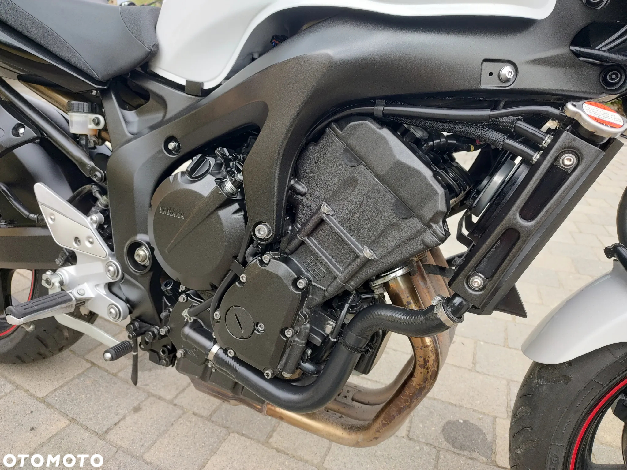 Yamaha FZ6 - 17