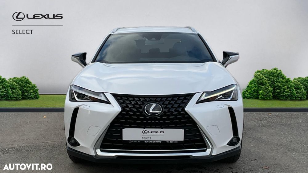 Lexus UX 250h FWD Business - 2