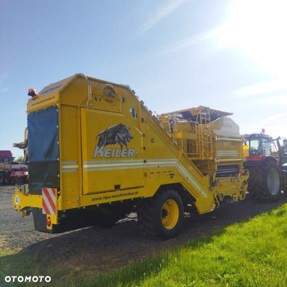 Inny Kombajn ziemniaczany ROPA Keiler I z zasobnikiem 6t. (KMK Agro) - 5